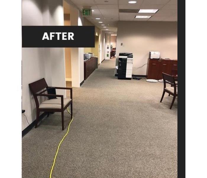 clean carpet in office with chair, copier and desk