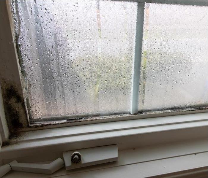 moisture on window showing signs of water and mold damage