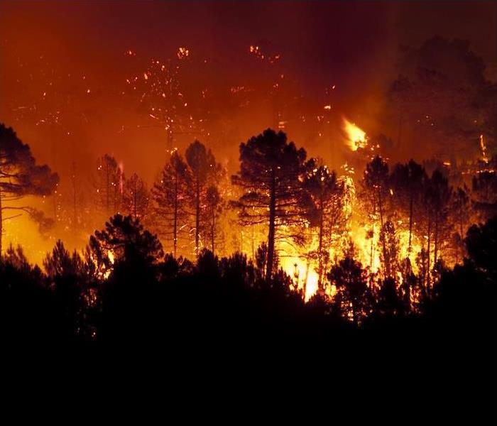 a large forest fire engulfed in flames